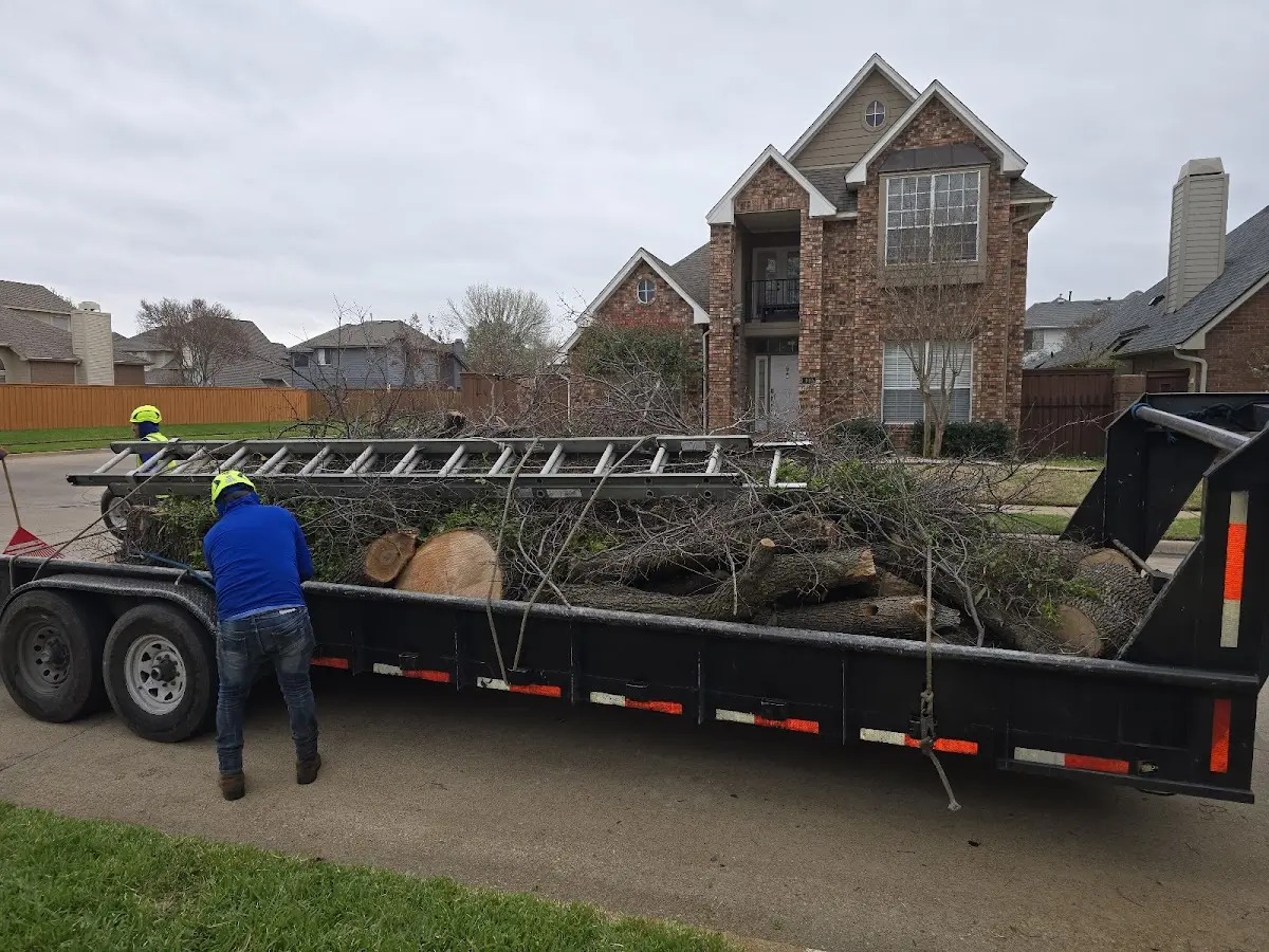 Expert Tree Fertilization with proper safety equipment in Quincy